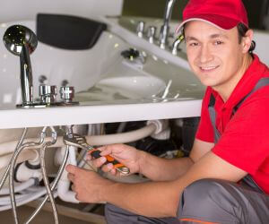 About Plumbers Pros Martville, NY